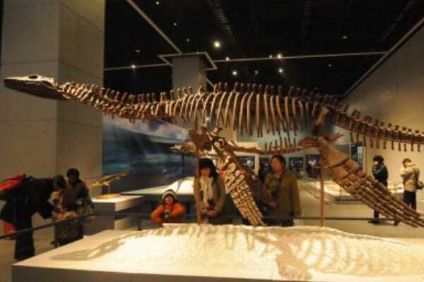 斑嵴龙:中国小型恐龙(带有斑纹嵴冠饰/6600万年前)