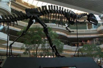 上游永川龙:重庆大型恐龙(长11米/最完整肉食龙化石)