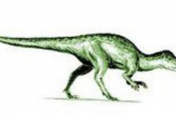 狭盘龙：欧洲小型恐龙（体长1.5米/1.45亿年-1.4亿年前）