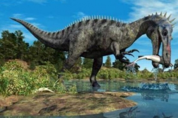 似鳄龙：非洲大型食肉恐龙（长11米/有类似鳄鱼的嘴巴）