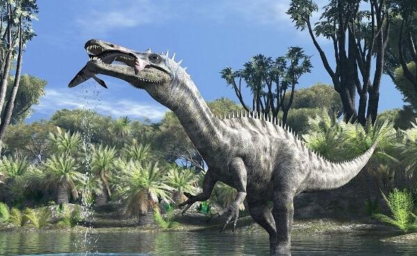 中国龙：云南小型食肉恐龙（长2.4米/2亿年-1.8亿年前）