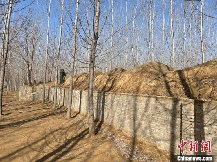 河北蠡县发现白马连八烈士墓尘封80年原委被揭开