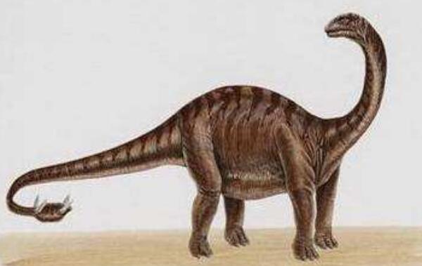 林木龙：北美洲小型食草恐龙（长4米/距今1.13亿年前）