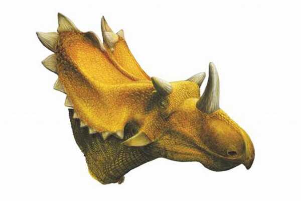 恶魔角龙:北美小型角龙类(长3米/颅骨占62厘米)