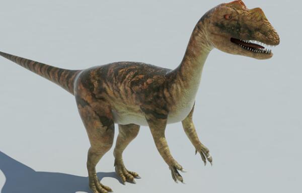肉龙：欧洲小型恐龙（长3.5米/距今2.06亿年-2亿年前）