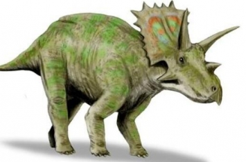 宣化角龙：最早的角龙下目恐龙（长1米/距今1.45亿年前）