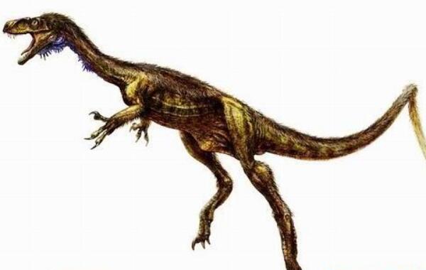 假鲨齿龙：中国大型恐龙（长7米/以捕猎其它恐龙为食）