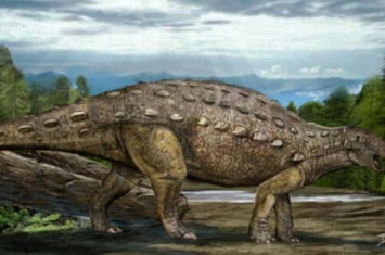 浙江龙：中国大型食草恐龙（长6米/距今9300万年前）