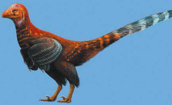 查摩西斯龙：欧洲小型食草恐龙（长2米/距今6500万年前）