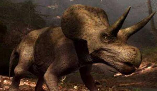 札纳巴札尔龙：最大型伤齿龙科恐龙（长2.7米/亚洲出土）