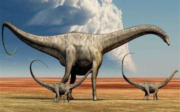 札纳巴札尔龙：最大型伤齿龙科恐龙（长2.7米/亚洲出土）
