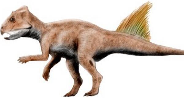 北山龙：甘肃大型食草恐龙（长8米/距今1亿年前）