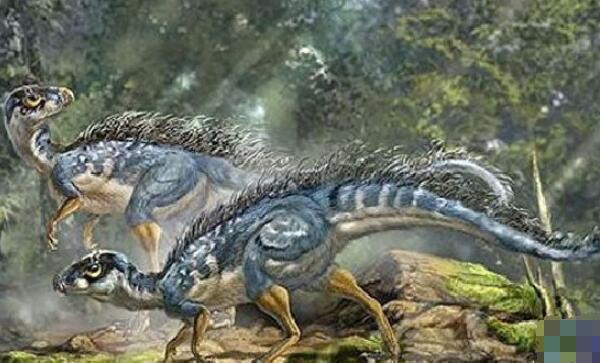 黎明角龙：甘肃小型食草恐龙（长1.2米/距今1.12亿年前）
