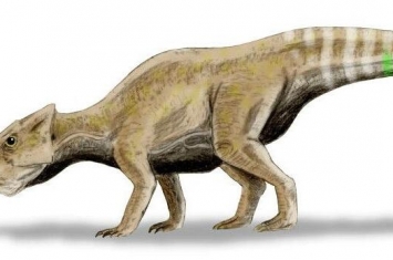 阎王角龙：蒙古国小型食草恐龙（长1米/距今1亿年前）