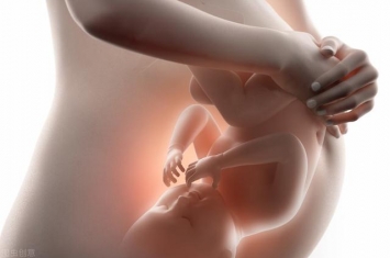 孕期中为什么会胎停,为什么会胎停孕