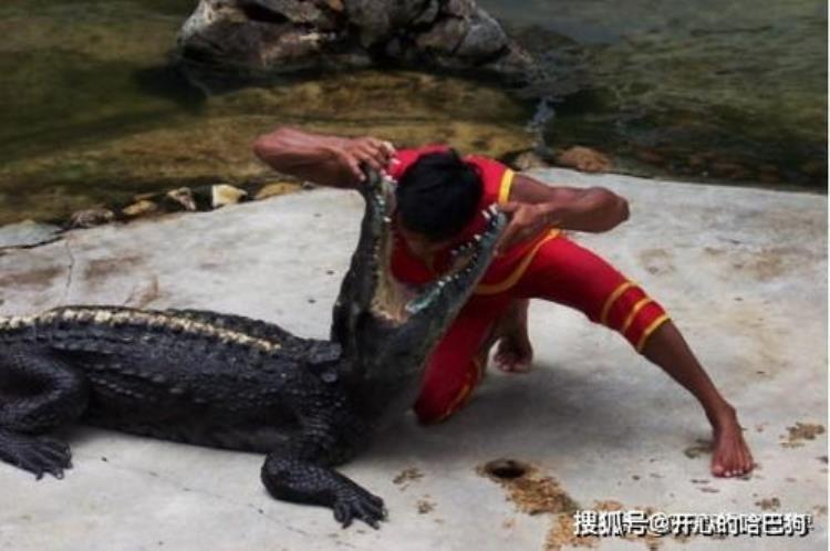 鳄鱼吃人惨案,中国鳄鱼伤人