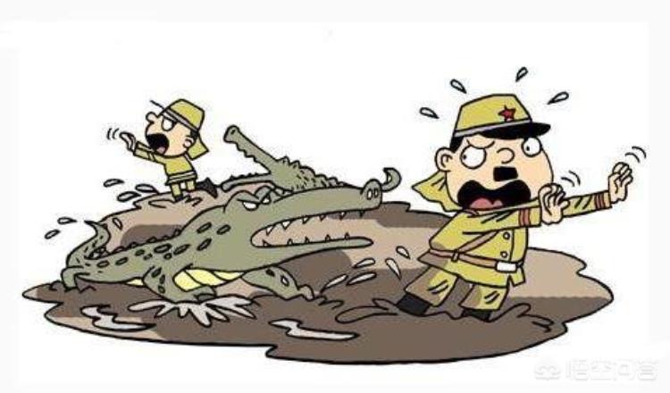 鳄鱼吃人惨案,中国鳄鱼伤人