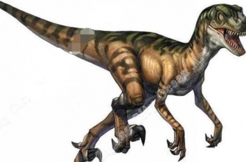 威尔顿盗龙：欧洲中型食肉恐龙（长5米/距今1.2亿年前）
