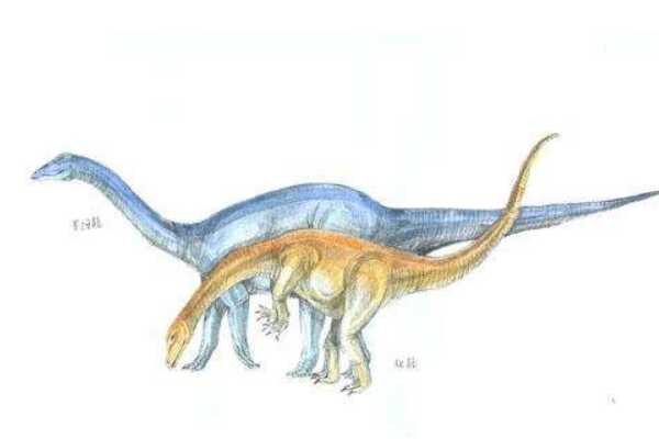跳龙:迷你型鸟颈类恐龙(长0.6米/喜欢跳跃和奔跑)