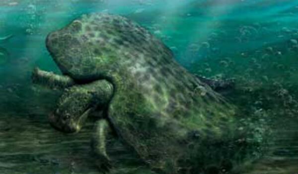 无齿龙：北美洲大型水生恐龙（长6米/距今7000万年前）