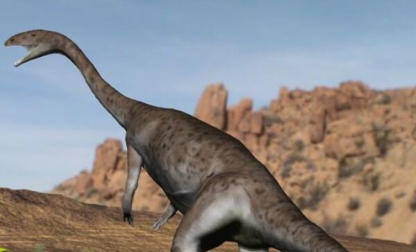 无齿龙：北美洲大型水生恐龙（长6米/距今7000万年前）