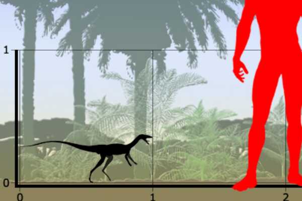 芙蓉龙:史前伪鳄类爬行动物(长3米/长有硕大背脊)