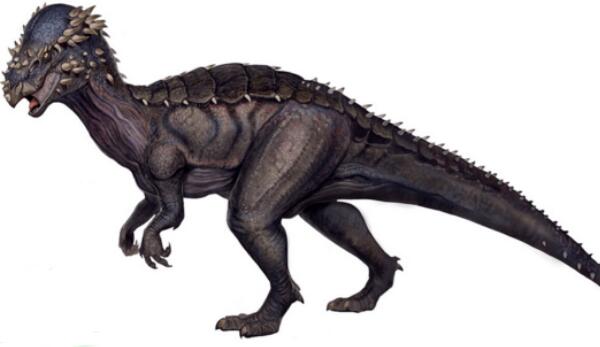 胄甲龙：北美洲大型食草恐龙（长7米/距今6800万年前）