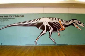 萨尔特廖猎龙:侏罗纪最大的肉食恐龙(长7.5米)