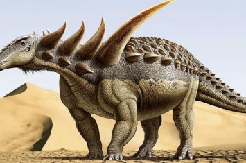 结头龙：北美洲小型食草恐龙（长1米/距今7000万年前）