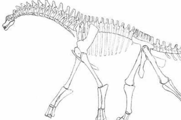 鸟骨龙:奥地利中型恐龙(长4.5米/诞生于8000万年前)