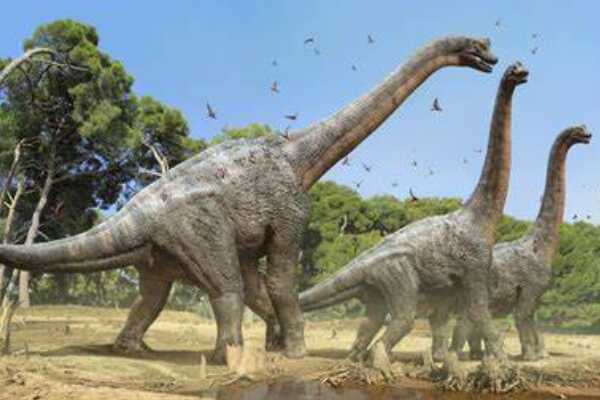 伊希斯龙:最后的植食性蜥脚类恐龙(长18米/脖子较短)