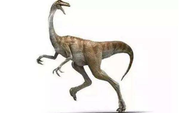 天龙：印度小型食草恐龙（长4米/距今1.9亿年前）