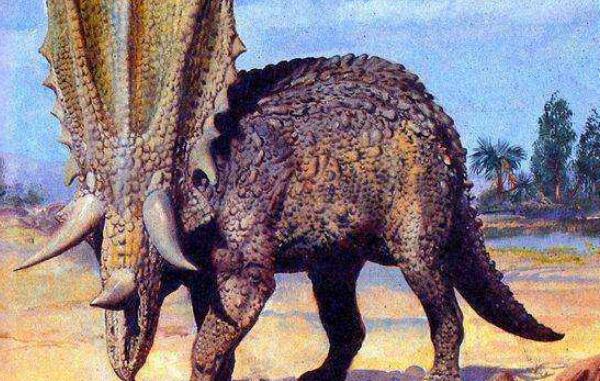 短冠龙：北美洲大型食草恐龙（长7米/距今7500万年前）
