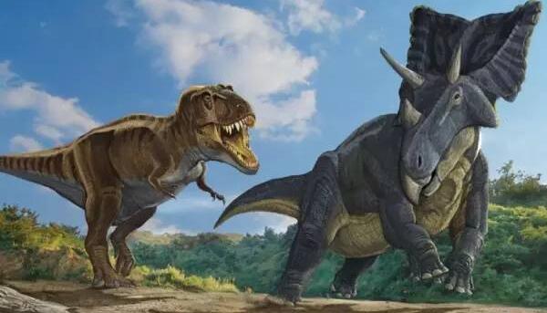 短冠龙：北美洲大型食草恐龙（长7米/距今7500万年前）