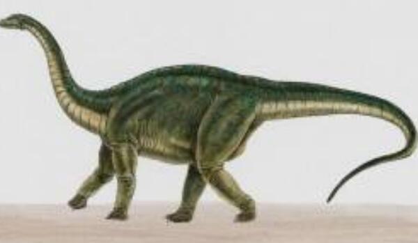 巧鳄龙：印度小型食肉恐龙（长1米/距今6500万年前）