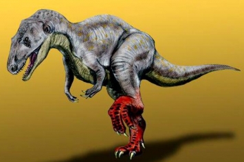 中华盗龙：新疆大型食肉恐龙（长8米/距今1.44亿年前）
