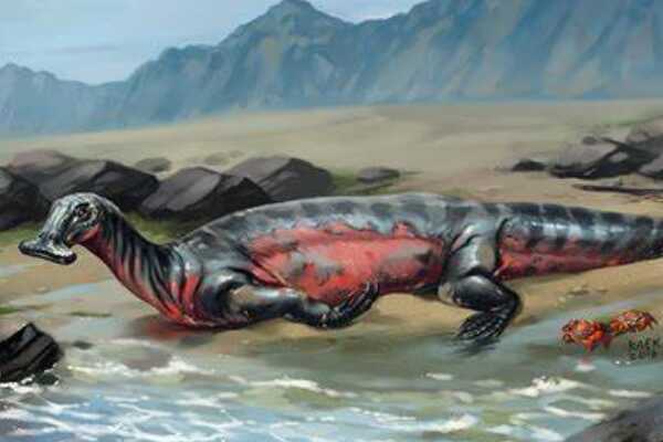 澳洲棘龙:澳洲出土的第一种棘龙科(长9米/疑名恐龙)
