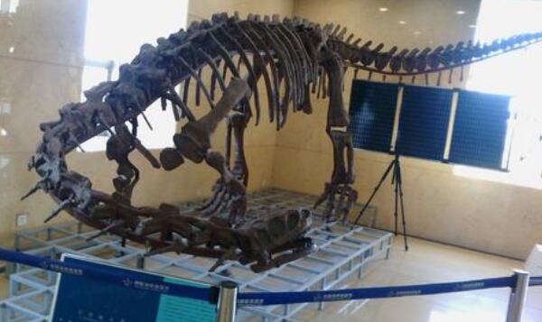 原美颌龙：德国小型食肉恐龙（长1.2米/距今2.19亿年前）