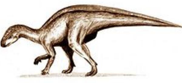 凹齿龙：欧洲小型食草恐龙（长4米/距今6500万年前）