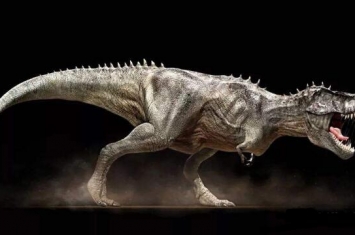 塔哈斯克龙：欧洲顶级肉食恐龙（长6米/距今7000万年前）
