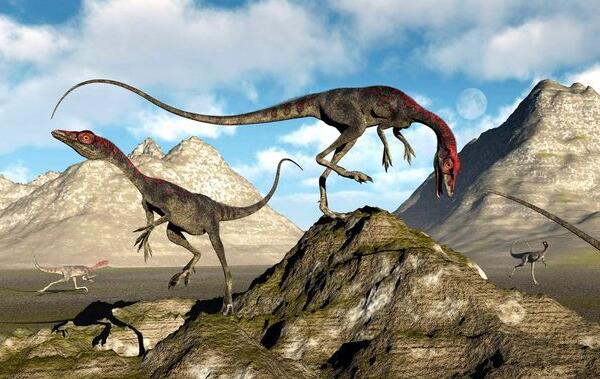 欧姆殿龙：德国小型食草恐龙（长4米/距今1.91亿年前）