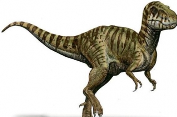 暹罗暴龙：泰国大型食肉恐龙（长6.5米/距今1.3亿年前）