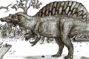 奥沙拉龙:巴西大型恐龙(长14米/长有高耸背棘)