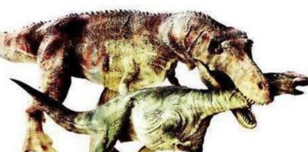 杂肋龙：法国大型食肉恐龙（长8米/距今1.63亿年前）