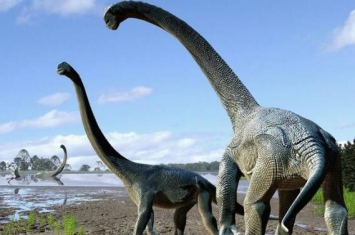 达斯达敏斯龙：西班牙超巨型恐龙（长25米/1.2亿年前）