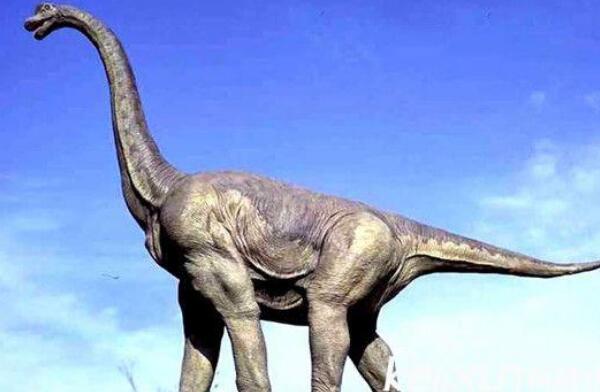 达斯达敏斯龙：西班牙超巨型恐龙（长25米/1.2亿年前）