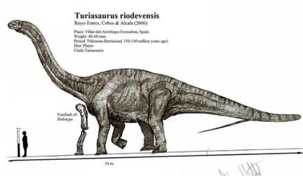 雷巴齐斯龙：西班牙巨型食草恐龙（长20米/6500万年前）