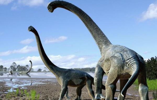 阿纳拜斯龙：阿根廷双足食草恐龙（长2米/1.25亿年前）