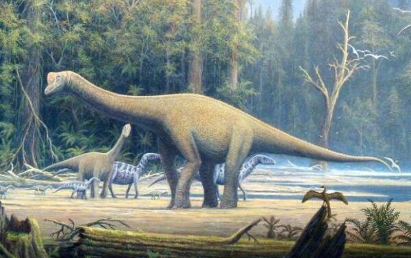 阿贝力龙：阿根廷大型食肉恐龙（长7.9米/7000万年前）