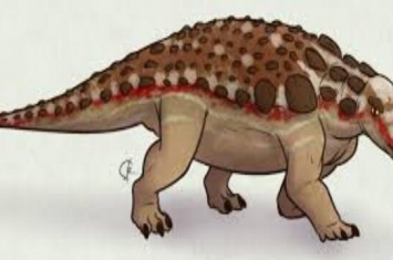 剑节龙：中国小型食草恐龙（长3米/白垩纪晚期的甘肃）